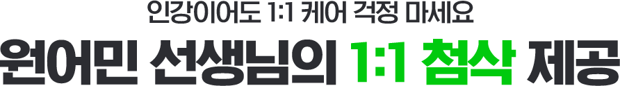 원어민 선생님의 1:1 첨삭 제공