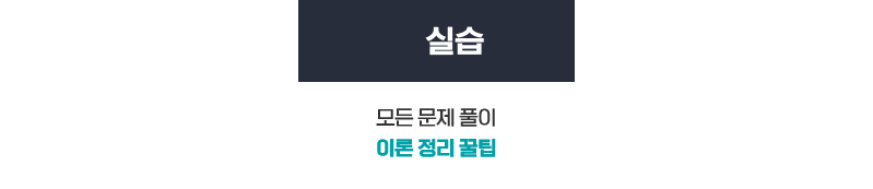 실습: 모든 문제 풀이 이론 정리 꿀팁