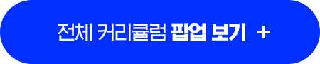전체 커리큘럼 팝업 보기