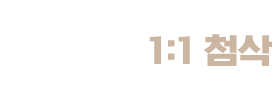 프리미엄 1:1 첨삭