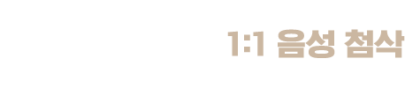 영국인 원어민의 1:1 음성 첨삭