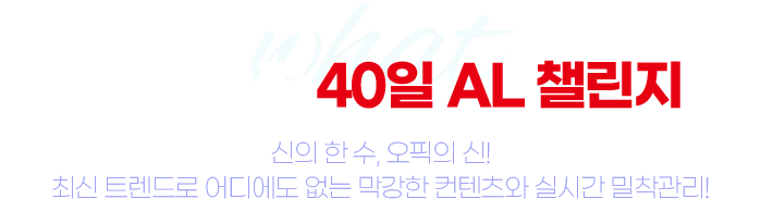 이현석의 오픽 40일 AL 챌린지란?