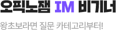 오픽노잼 IM 비기너