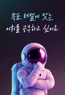 목표 레벨에 맞는 어휘를 공부하고 싶어요