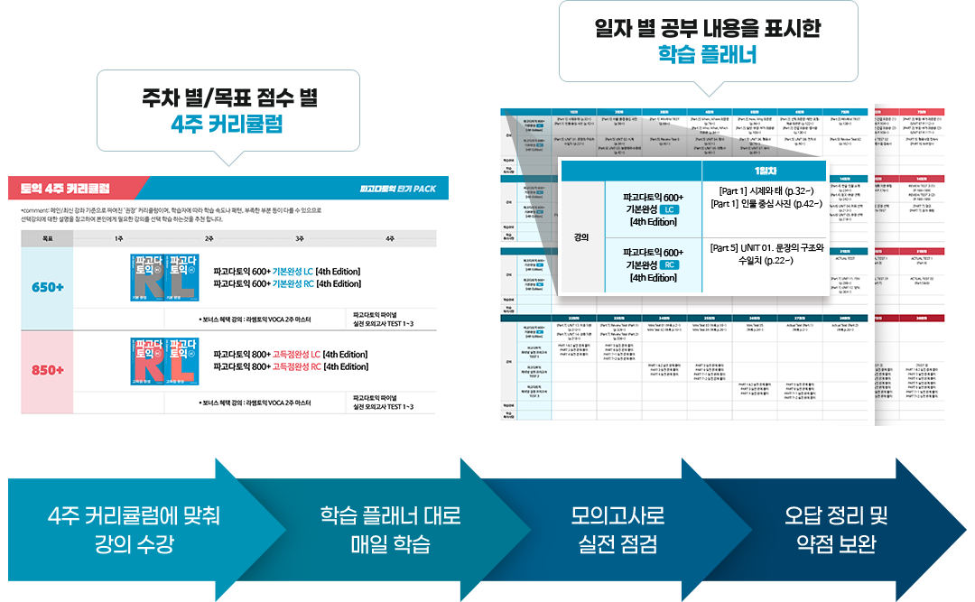 주차 별/목표 점수 별 4주 커리큘럼, 일자 별 공부 내용을 표시한 학습 플래너