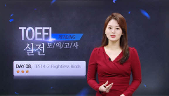 썸네일 이미지 확대